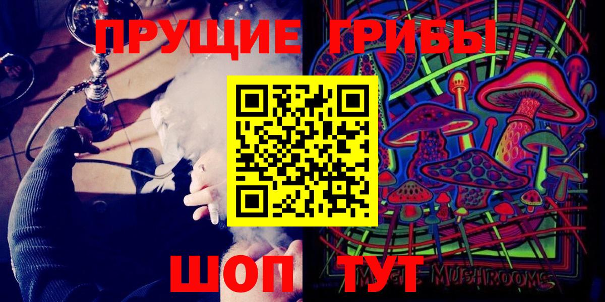 Ленинск-Кузнецкий  Галлюциногенные грибы прущие грибы  где найти наркотики  Вход с VPN 