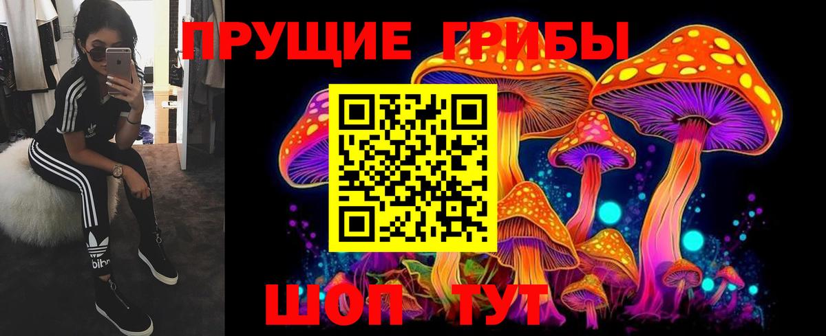Галлюциногенные грибы ЛСД Ленинск-Кузнецкий